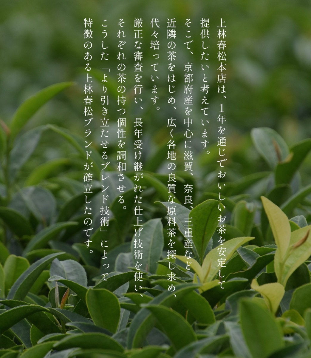 宇治の茶畑と上林春松本店のブレンド技術