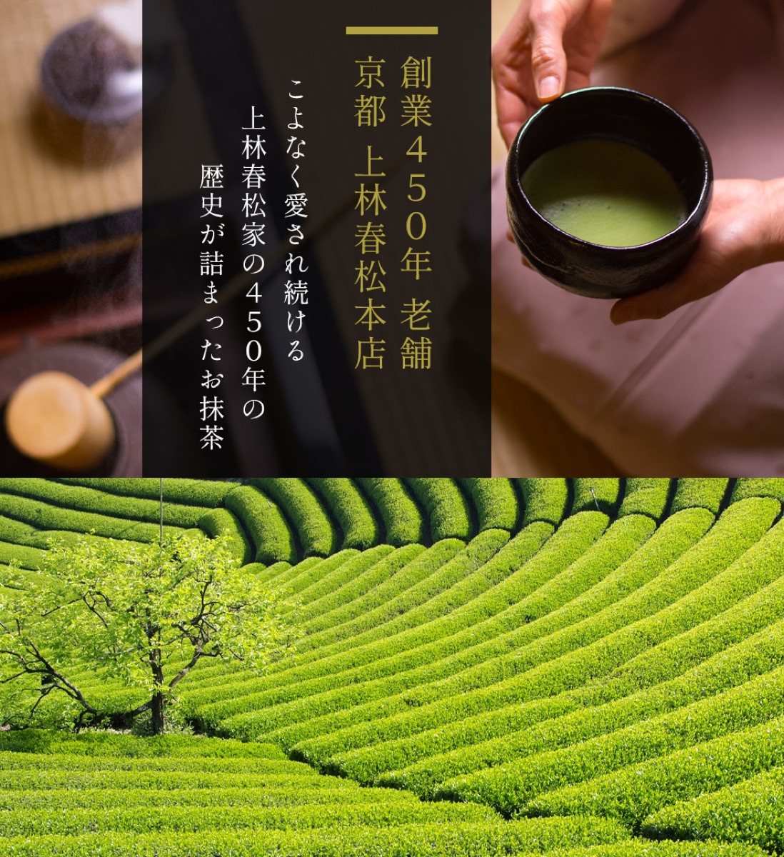 創業450年 京都上林春松本店の宇治抹茶