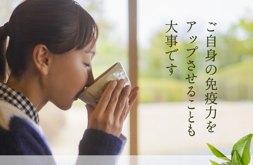 茶道のお茶会｜抹茶と和菓子を楽しむ風景